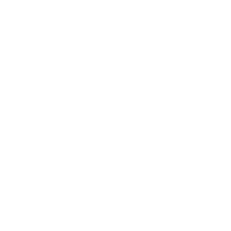 The W3 Network